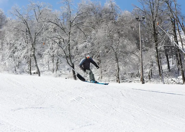 Seven Springs